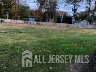 a view of a park with large trees