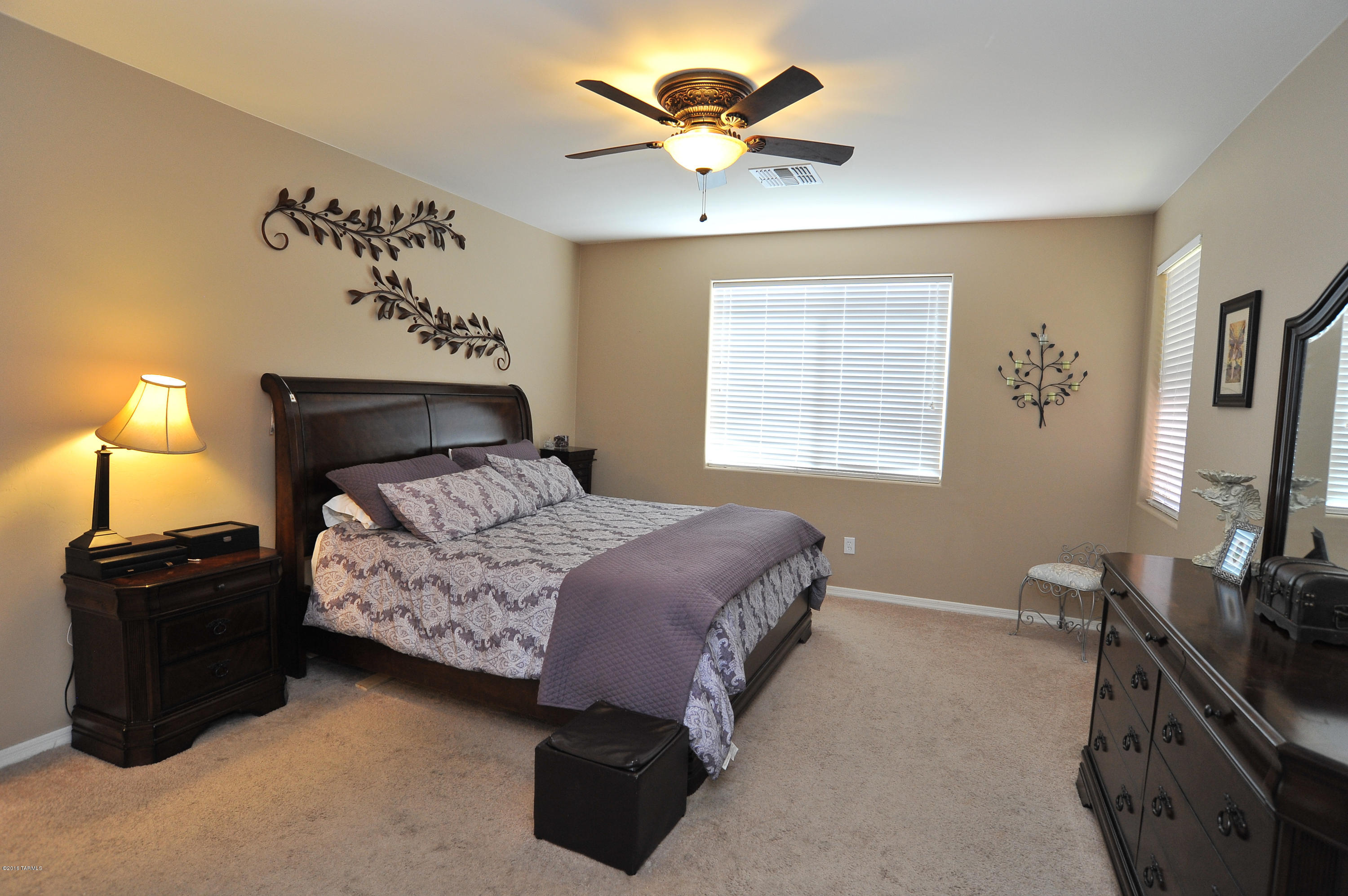 250 East Sycamore View Road Vail, AZ 85641 - Photo 18 of 42 Gallery Image 18