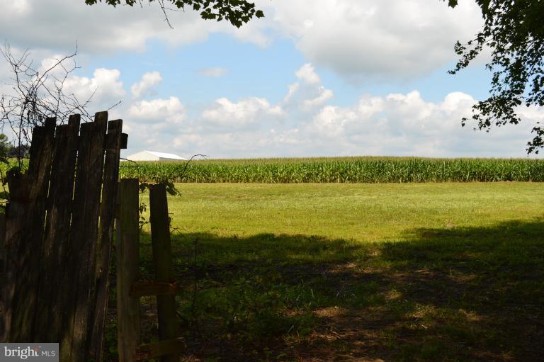 1009 Calvert Road Rising Sun, MD 21911 - Photo 28 of 30 Rear view of Acreage up to Cornfield