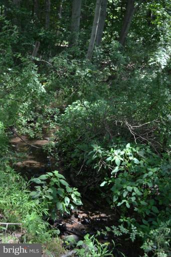 1009 Calvert Road Rising Sun, MD 21911 - Photo 30 of 30 Small Stream on Property