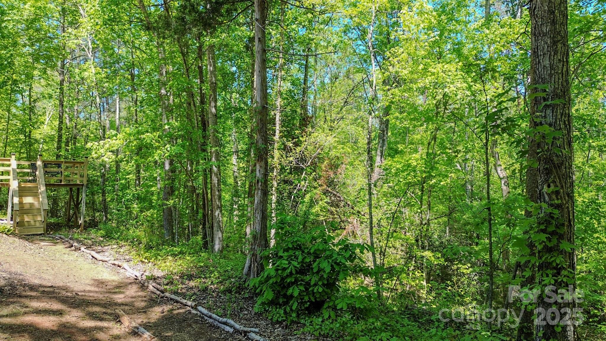 164 Forest Ridge Drive Rutherfordton, NC 28139 - Photo 40 of 48 Gallery Image 40