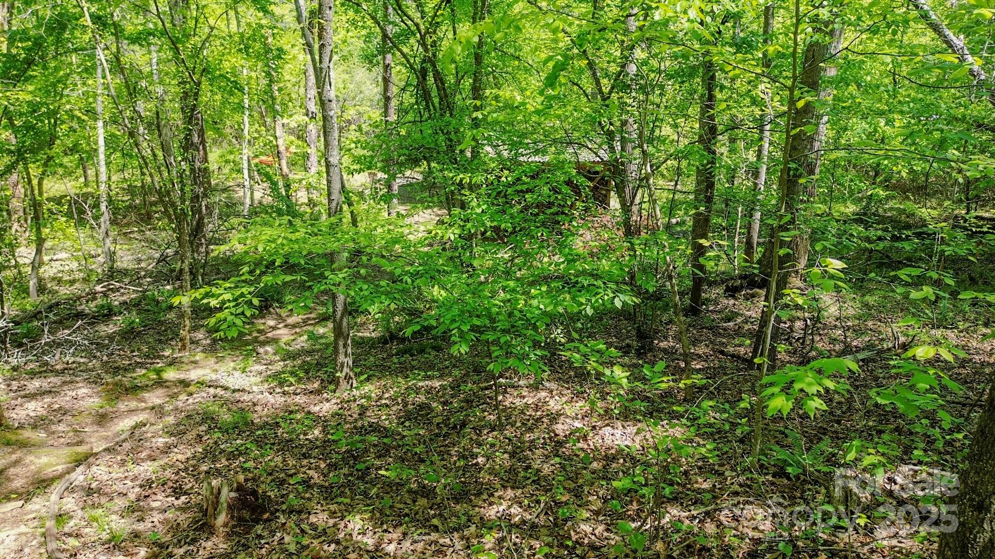 164 Forest Ridge Drive Rutherfordton, NC 28139 - Photo 41 of 48 Gallery Image 41