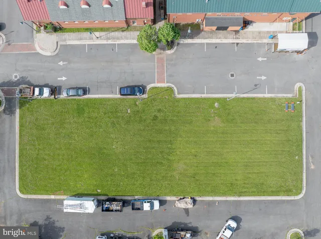 a view of a park with large trees