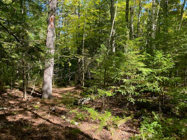 8658 Spring Road Fish Creek, WI 54212 - Photo 9 of 18 Gallery Image 9