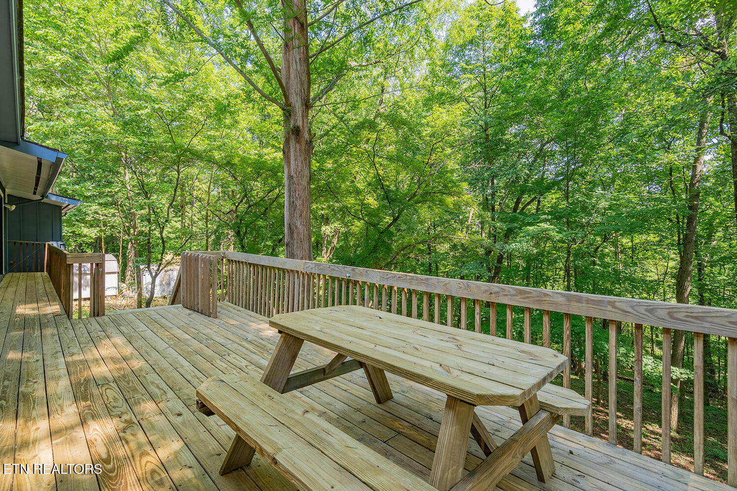 909 West Outer Drive Oak Ridge, TN 37830 - Photo 29 of 34 A7300121-HDR