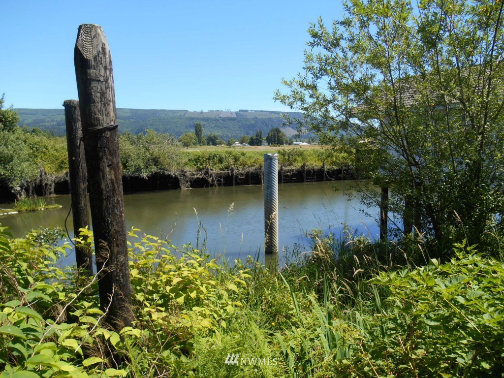 52 South Welcome Slough Road Cathlamet, WA 98612 - Photo 3 of 25 Gallery Image 3