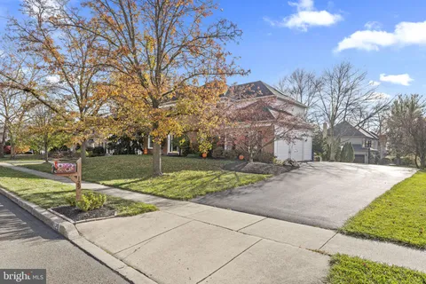 a street view with large trees