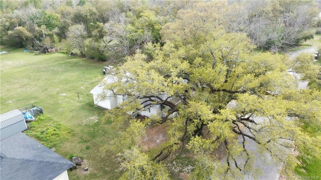 3905 Rice Dryer Road Vinton, LA 70668 - Photo 24 of 28