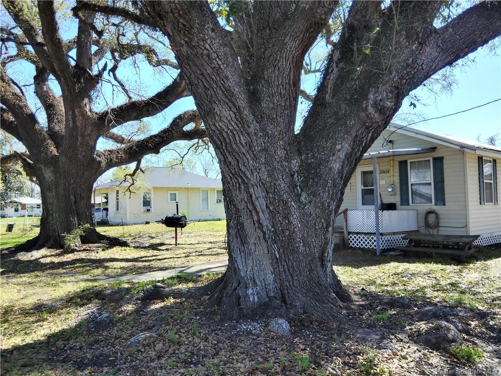 3905 Rice Dryer Road Vinton, LA 70668 - Photo 3 of 28