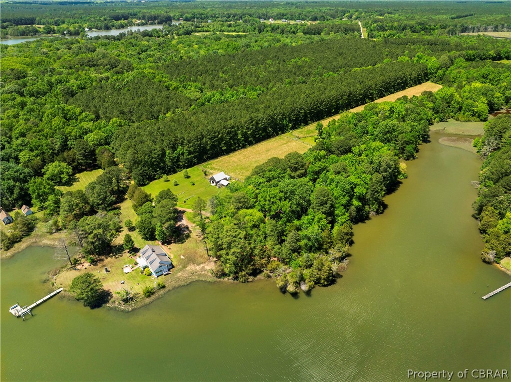 4701 North River Road Foster, VA 23056 - Photo 3 of 48 Privacy on 22+ acres