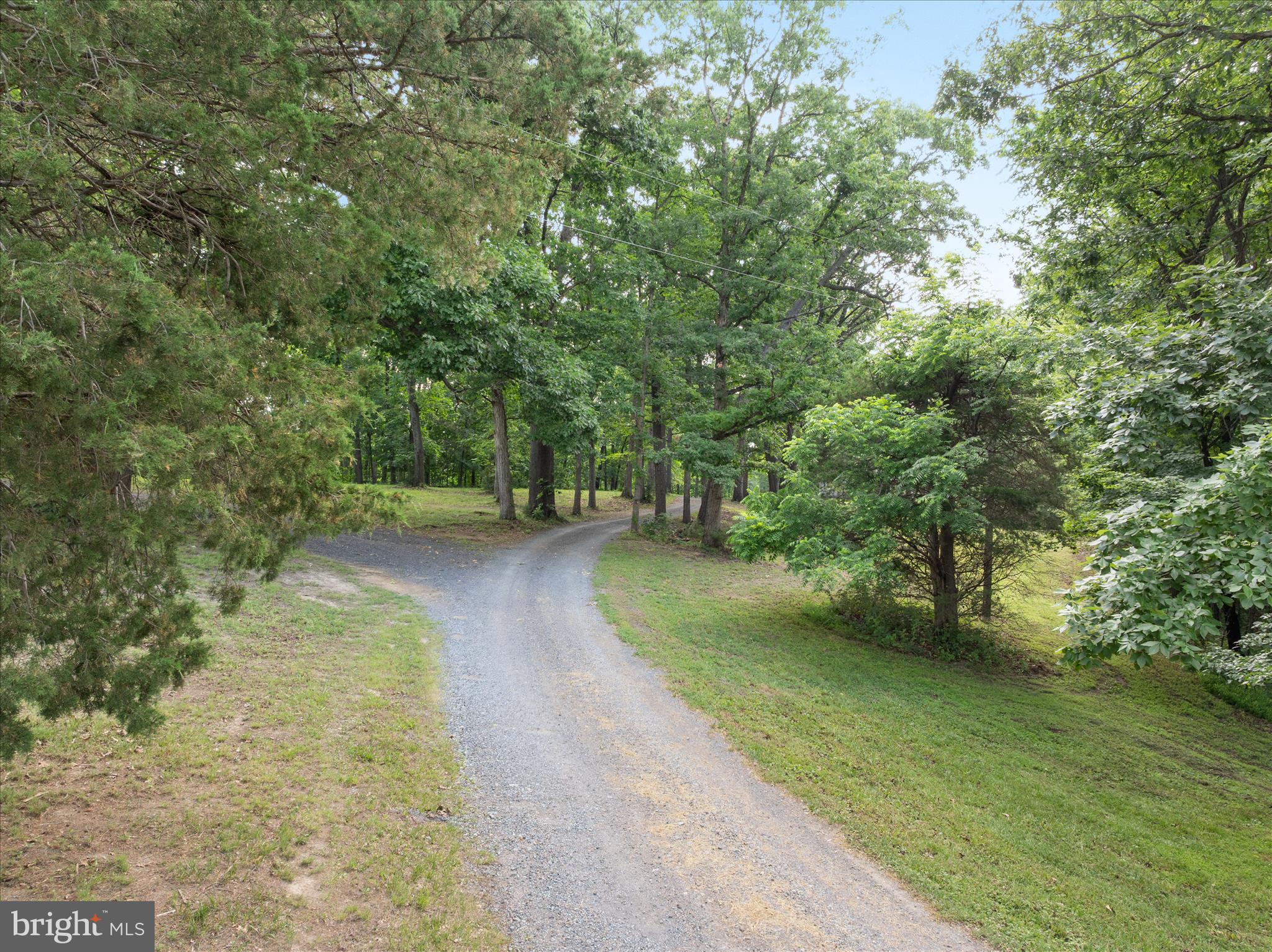 1488 Millner Road Strasburg, VA 22657 - Photo 24 of 44 Driveway to your property on the right