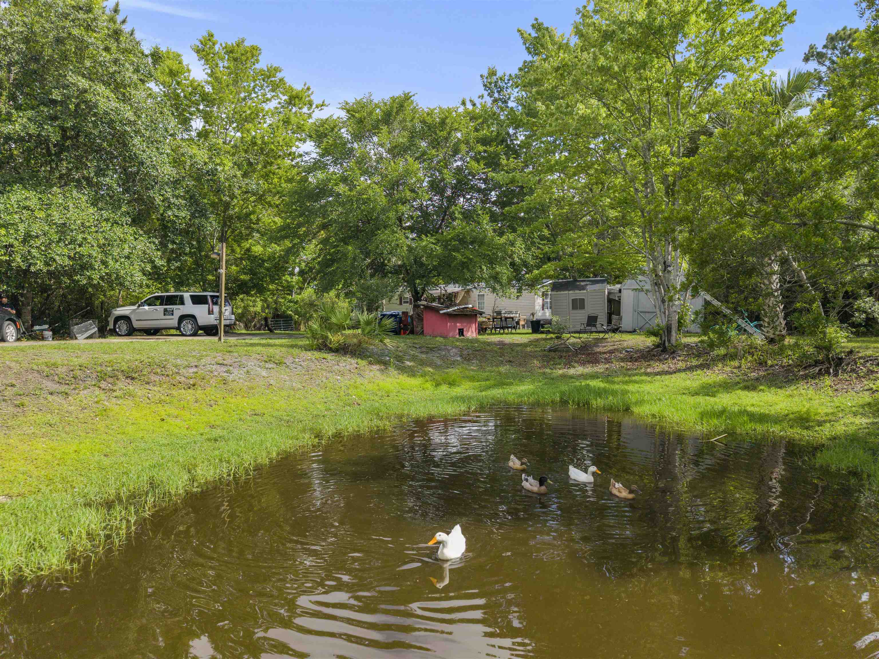 960 Cypress Road St. Augustine, FL 32086 - Photo 36 of 57
