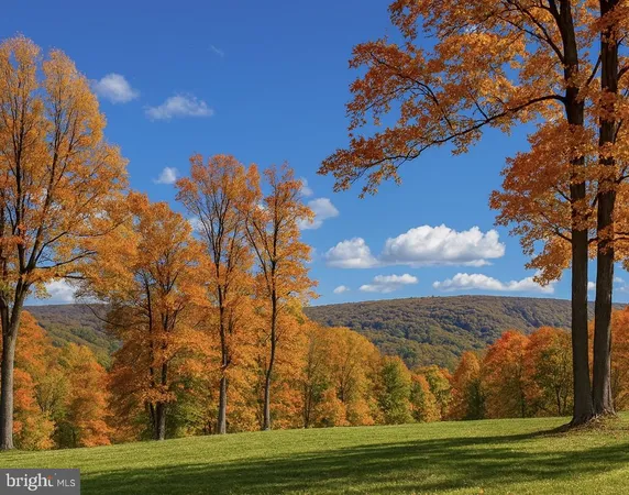 a kitchen with a table chairs refrigerator and cabinets