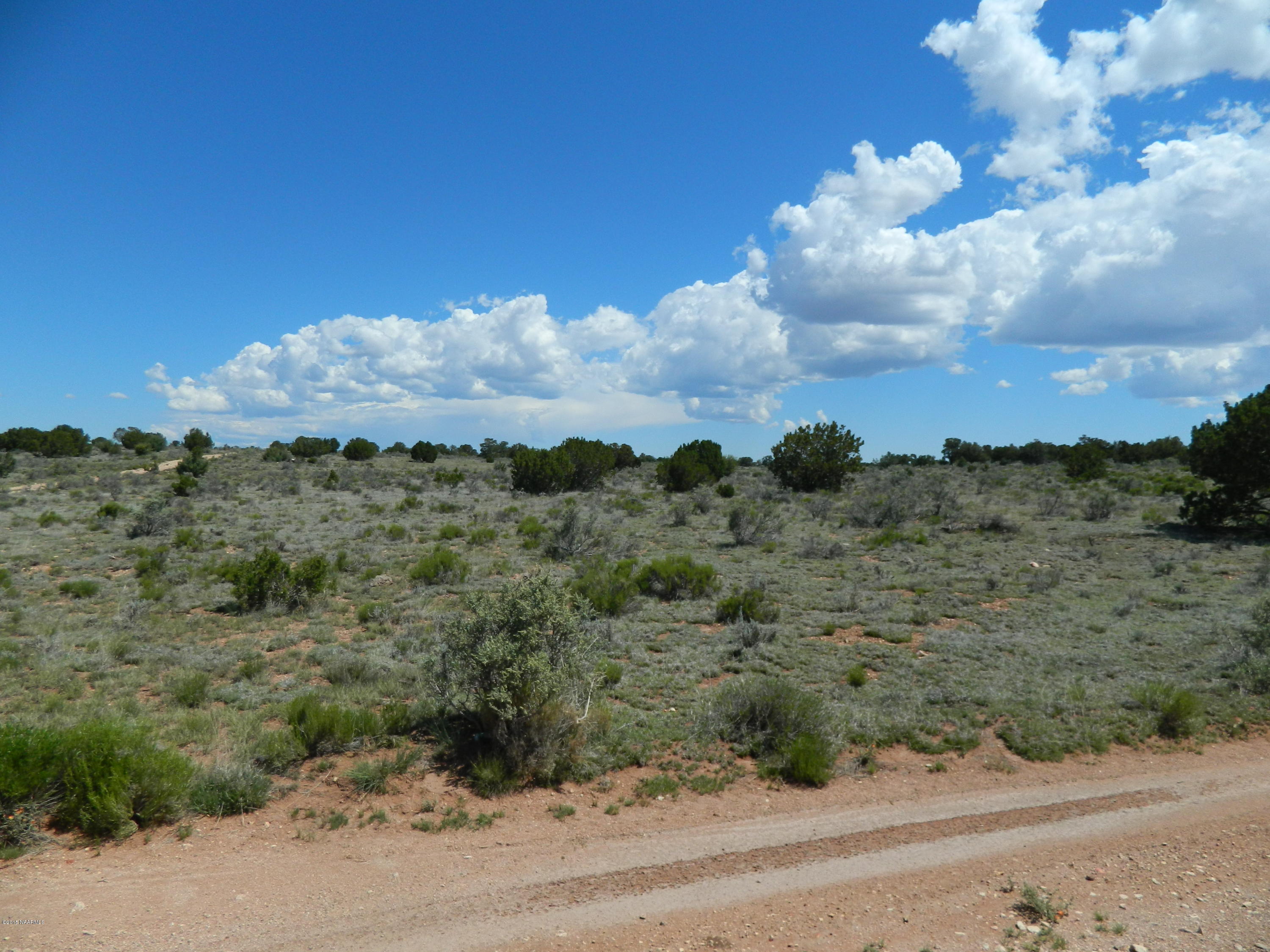 4529 East Ashing Road Valle, AZ 86046 - Photo 1 of 9 Lot
