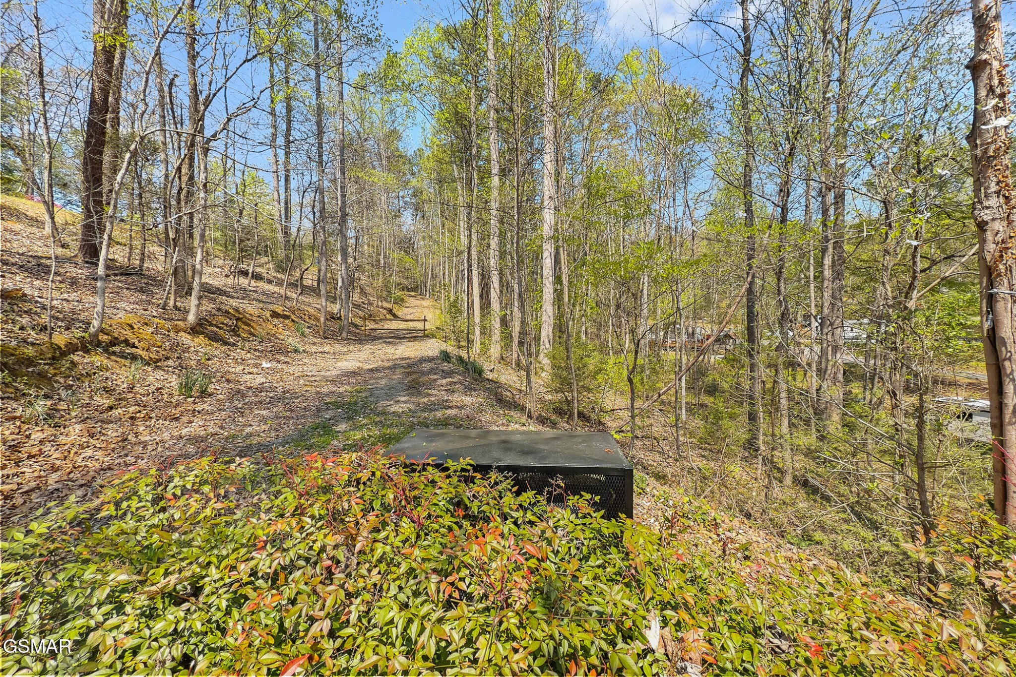 3123 Happy Hollow Road Sevierville, TN 37862 - Photo 43 of 45 Gallery Image 43