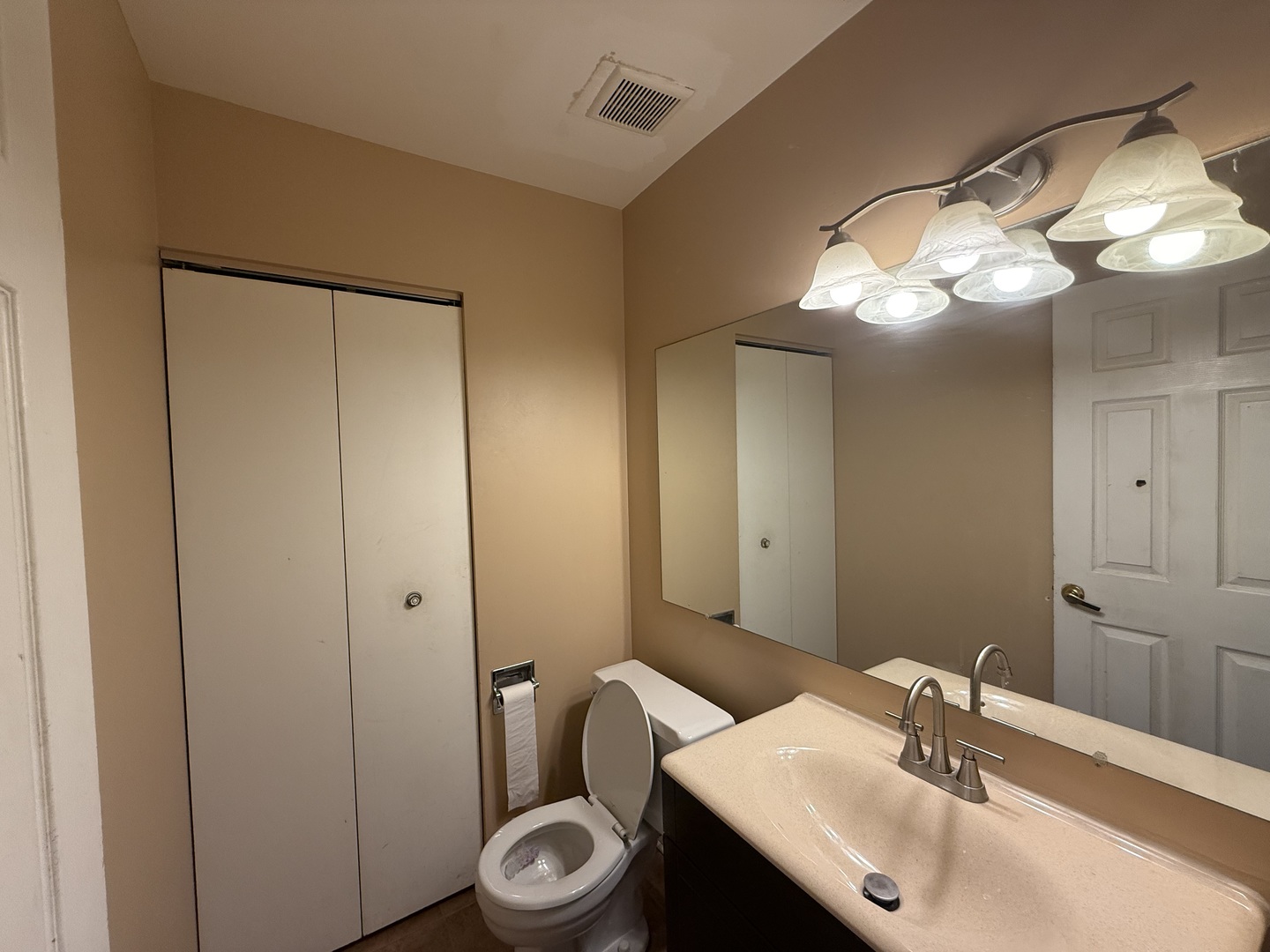 7 East Carriageway Drive, Unit 311 Hazel Crest, IL 60429 - Photo 11 of 17 a bathroom with a sink and a mirror