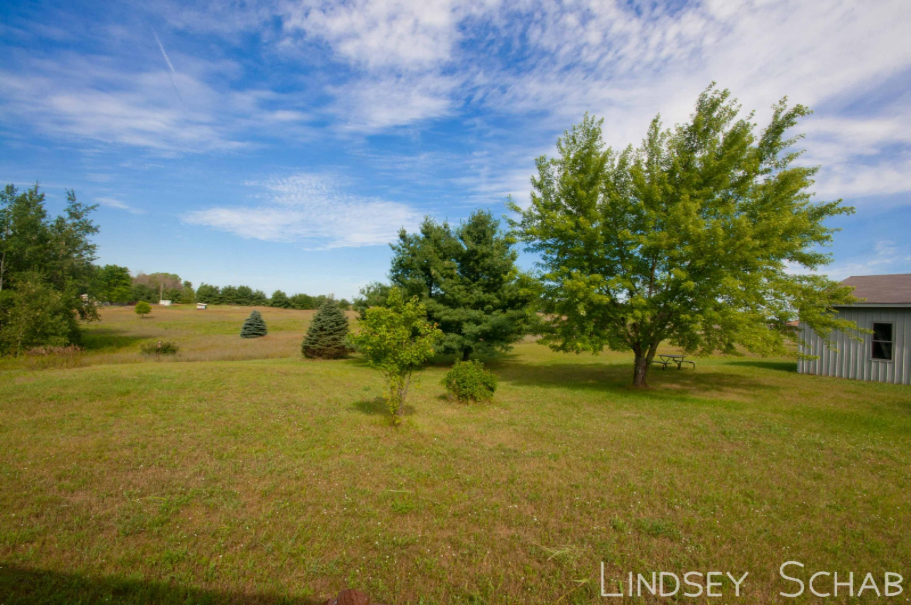39 Jones Road Pierson, MI 49339 - Photo 10 of 29 DSC_0427