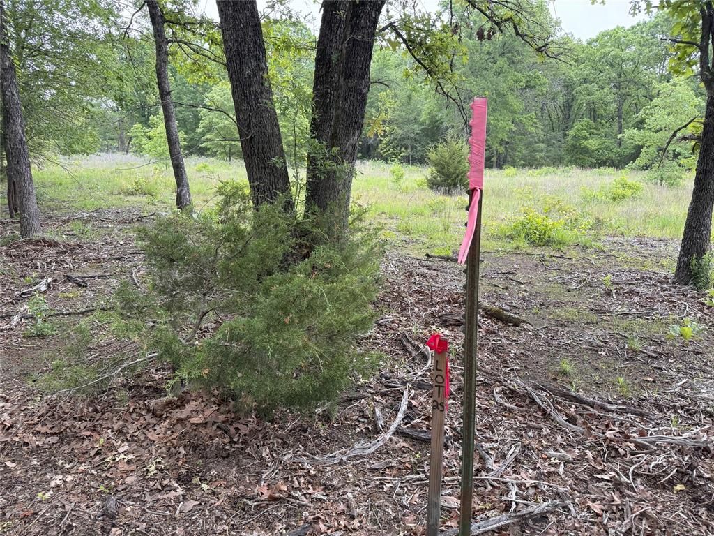Lot 25 Rains County Road 2610 Alba, TX 75410 - Photo 12 of 14 a view of a park