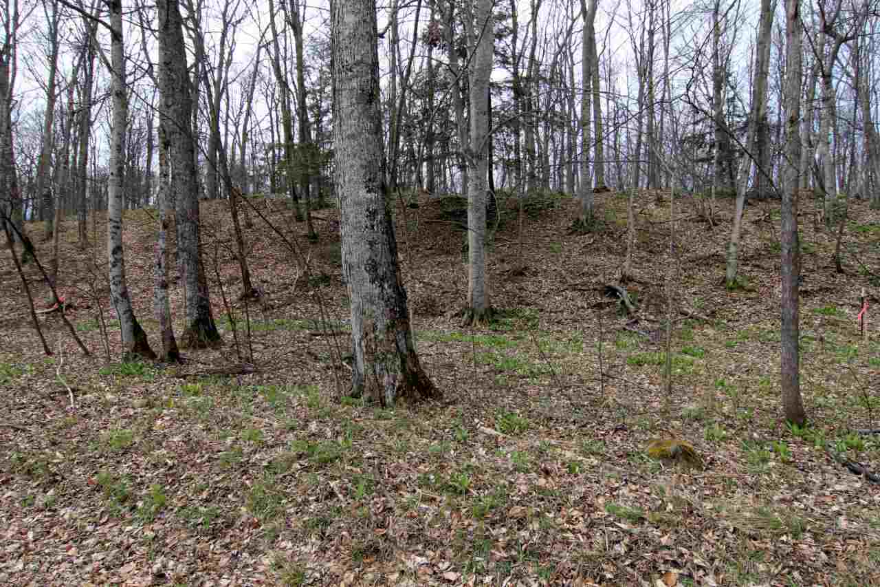 Lot 22 North Omena Point Road Omena, MI 49674 - Photo 25 of 27 1830936-24.JPG