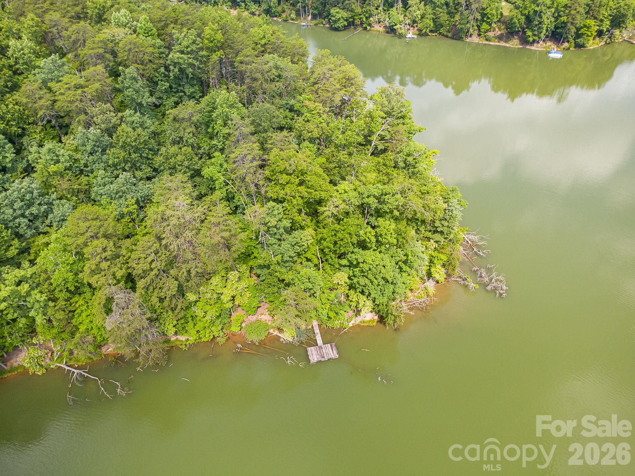 0 Canoe Drive, Unit 40 Mill Spring, NC 28756 - Photo 19 of 23