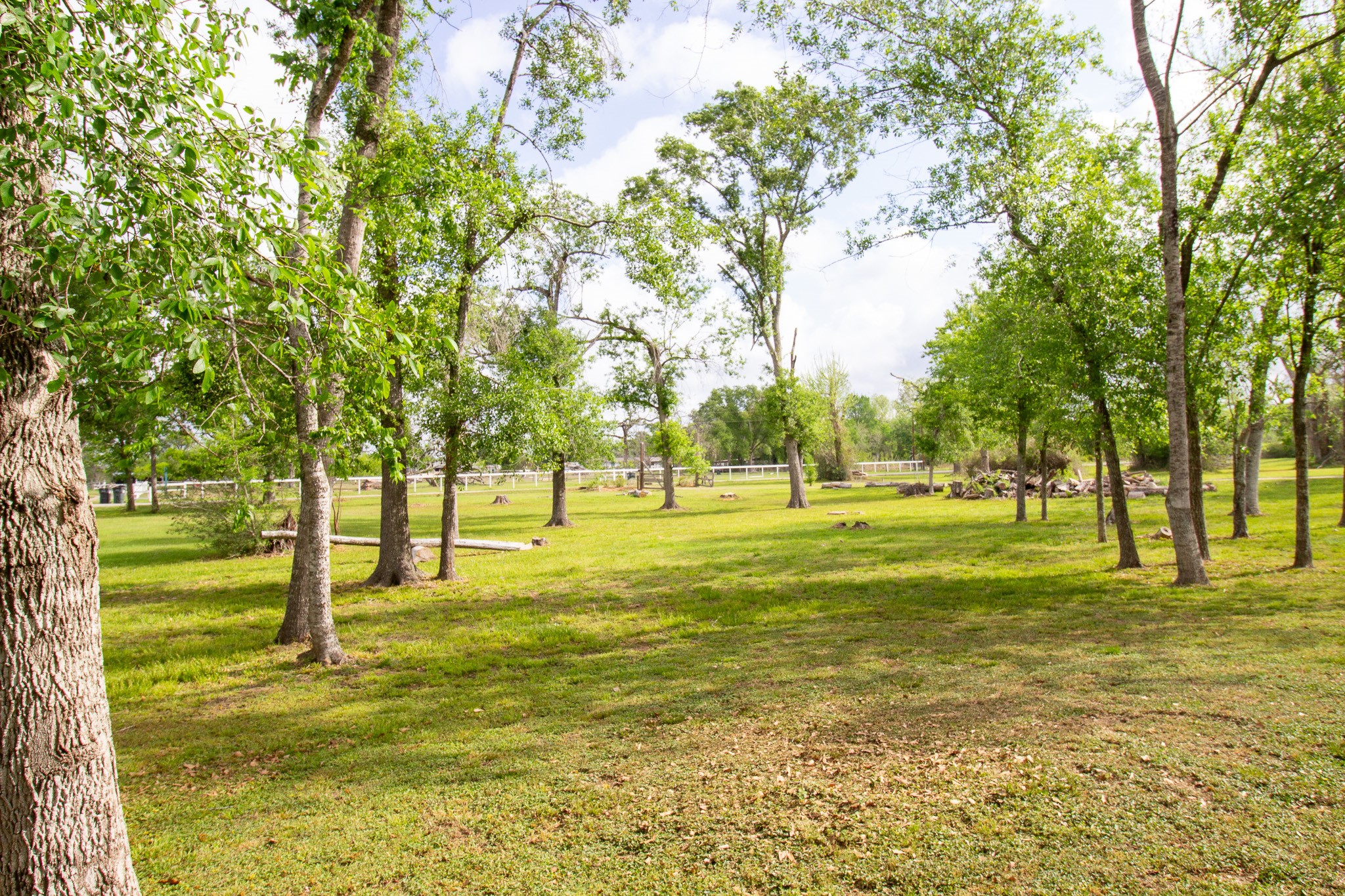 40411 Bosque Road Hempstead, TX 77445 - Photo 23 of 25