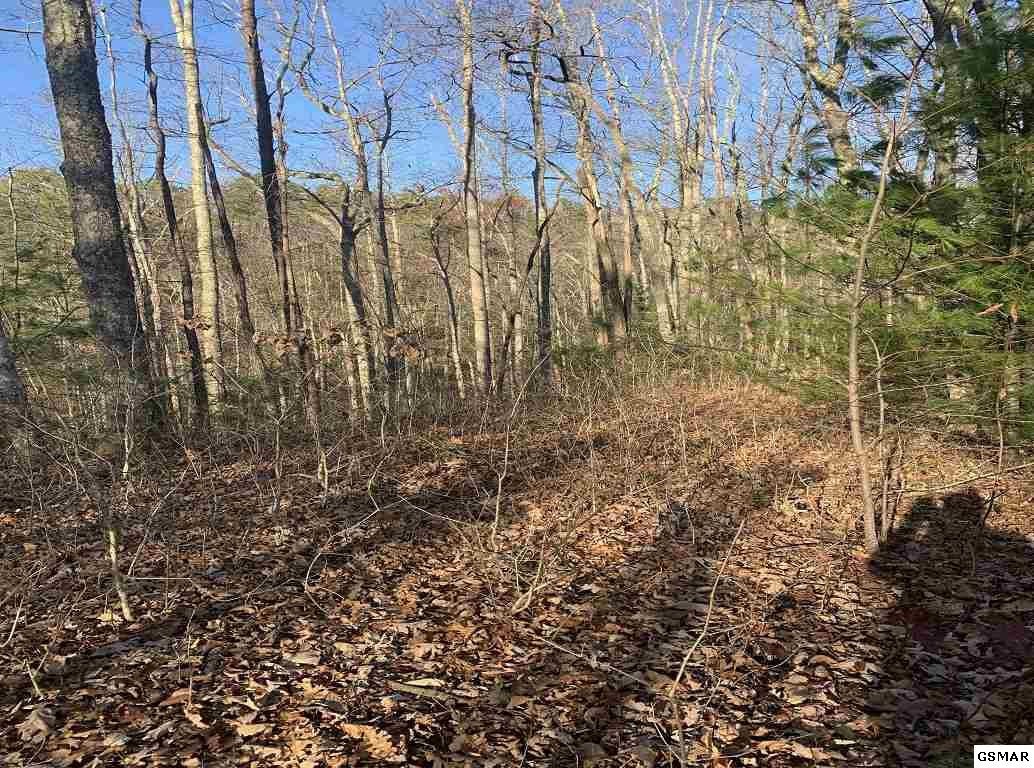 314 Hickey Road Sevierville, TN 37876 - Photo 22 of 36