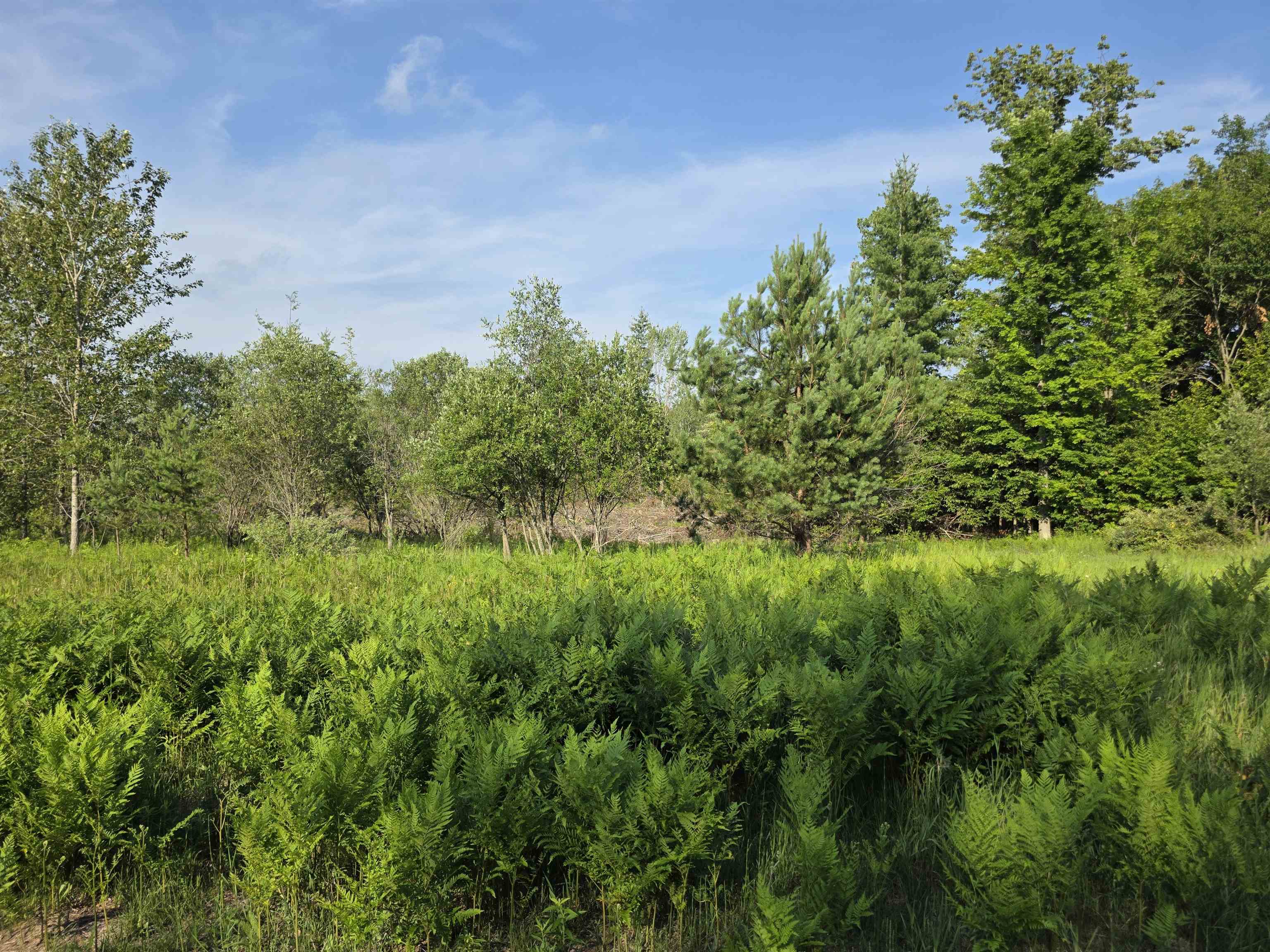 0 Arnold Road Manton, MI 49663 - Photo 30 of 63