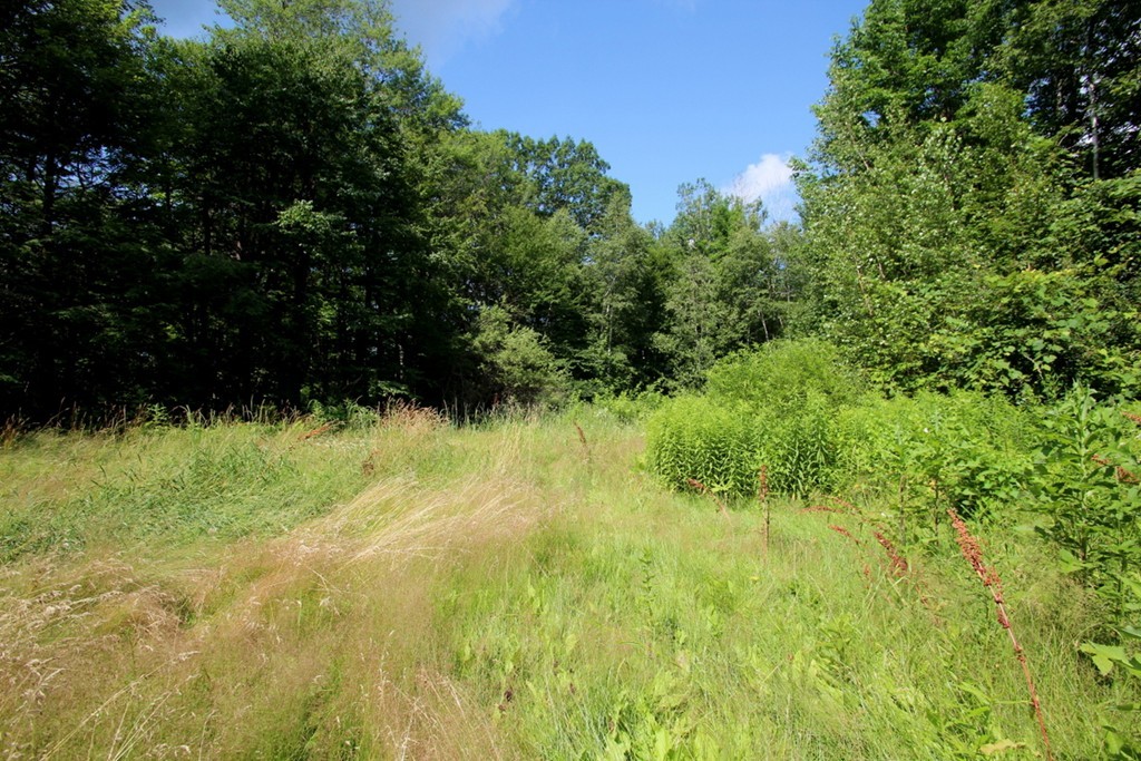 84 Lockes Village Road Wendell, MA 01379 - Photo 3 of 18 Gallery Image 3