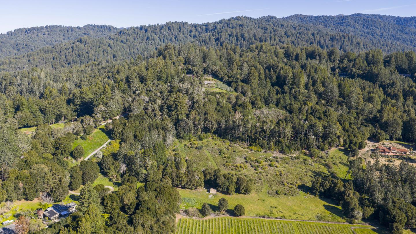 1073 Larsen Road Aptos, CA 95003 - Photo 10 of 18 a view of a forest with a forest