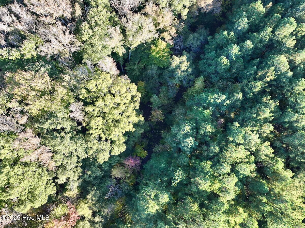 247 Quitsna Road Windsor, NC 27983 - Photo 21 of 30 21