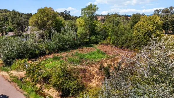 a view of a large yard with lots of bushes