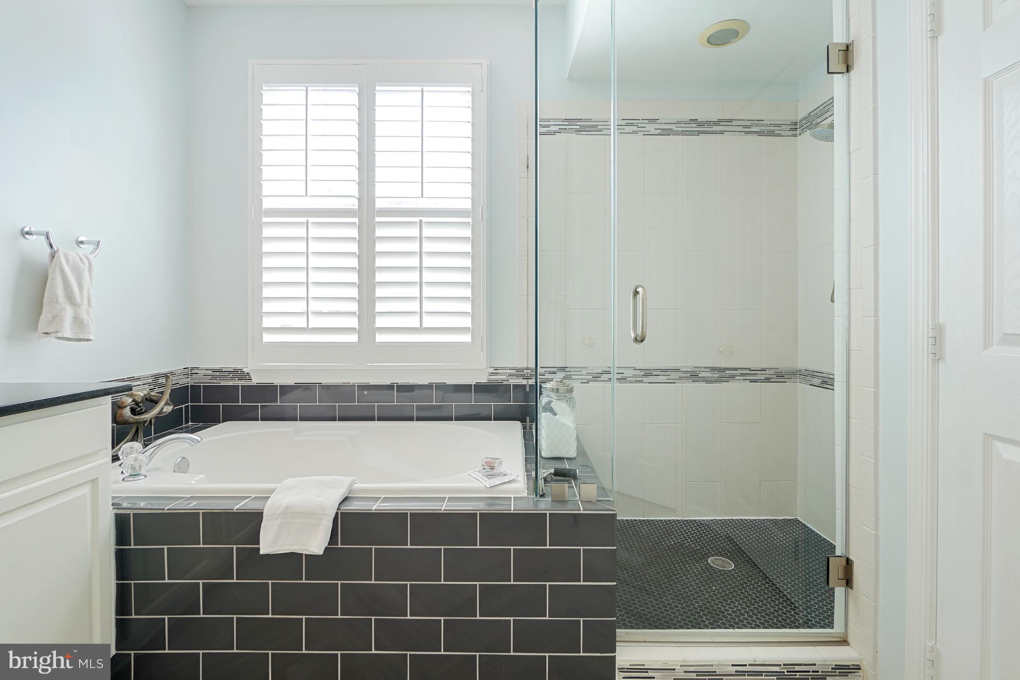 305 Hart Road Gaithersburg, MD 20878 - Photo 30 of 49 Primary Bathroom