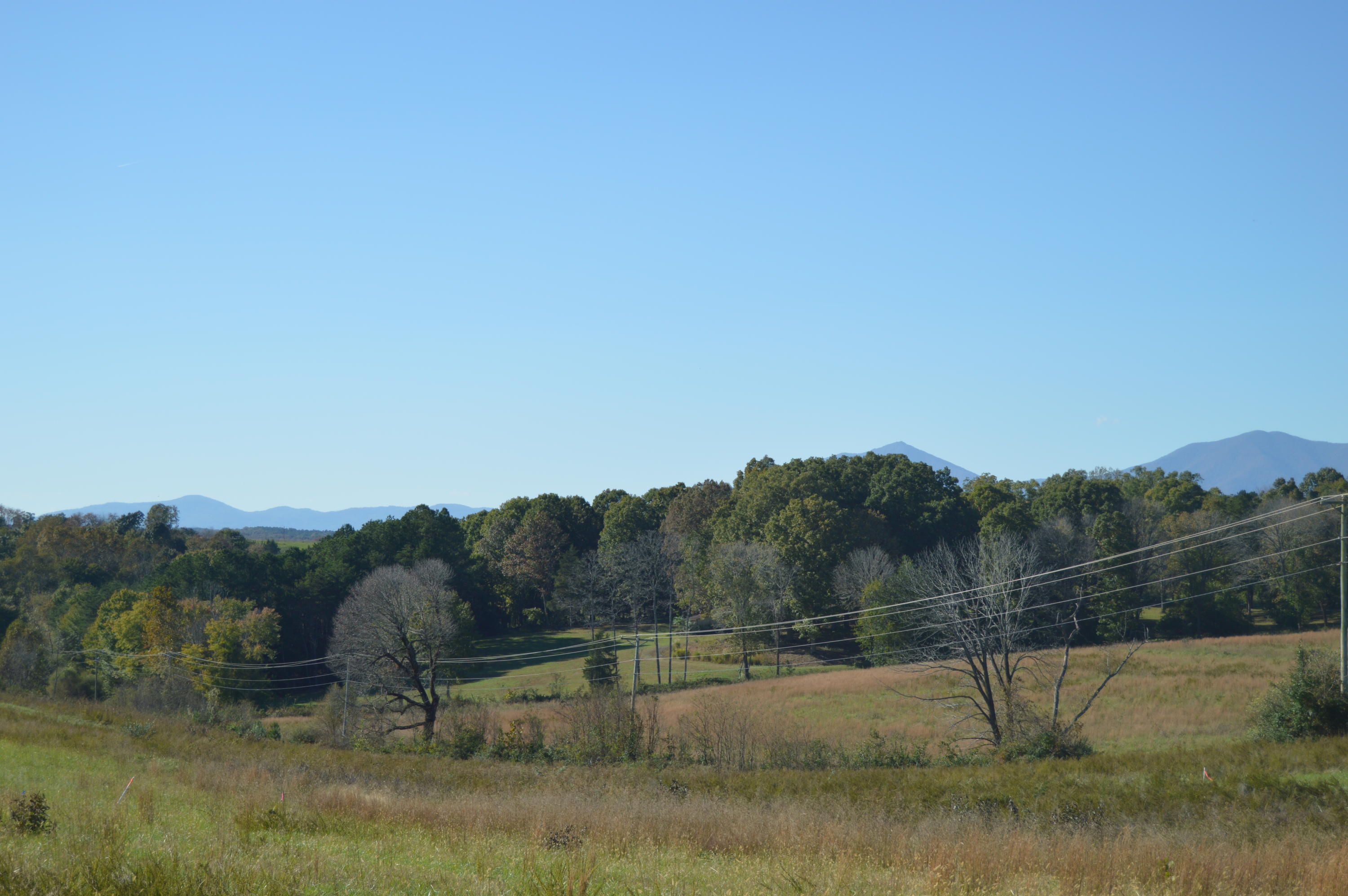 Lot 8 Goode Station Road Goode, VA 24556 - Photo 8 of 14 2018-10-23 15.55.00