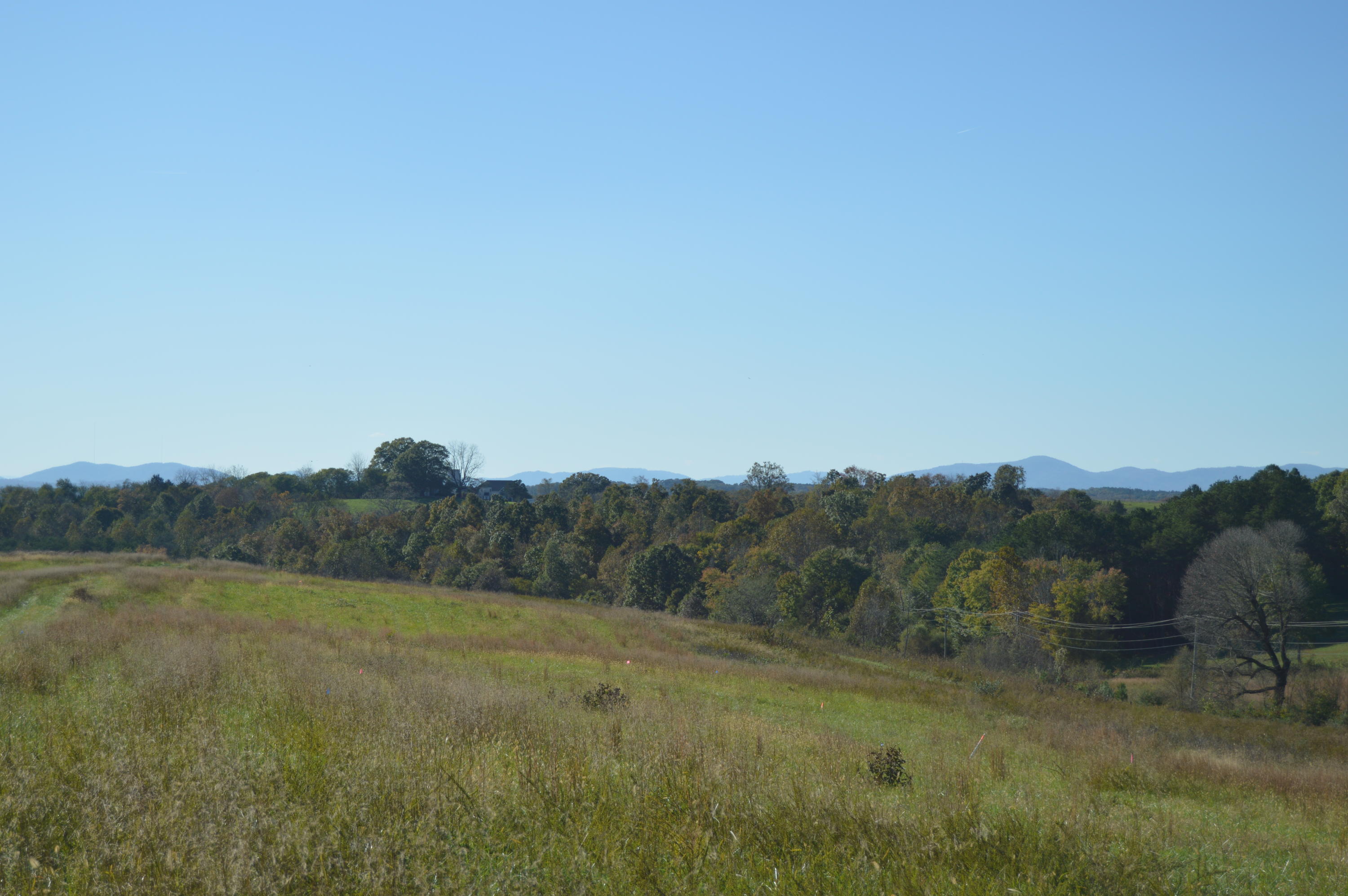 Lot 8 Goode Station Road Goode, VA 24556 - Photo 9 of 14 2018-10-23 15.55.02