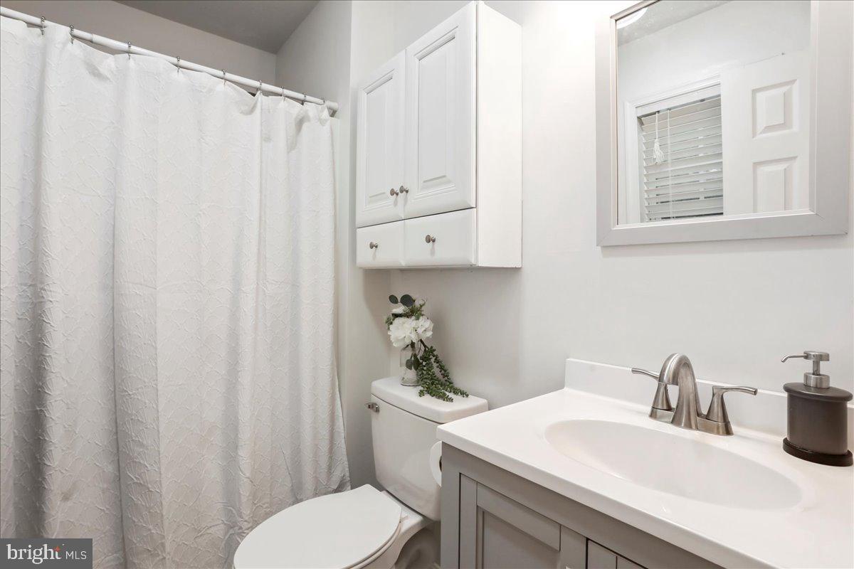 2726 Cave Ridge Road Mount Jackson, VA 22842 - Photo 23 of 39 a bathroom with a sink a toilet and a mirror
