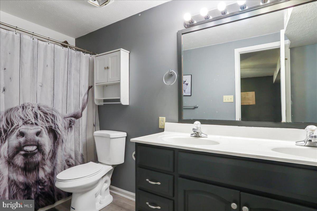 2726 Cave Ridge Road Mount Jackson, VA 22842 - Photo 27 of 39 a bathroom with a sink toilet and a mirror