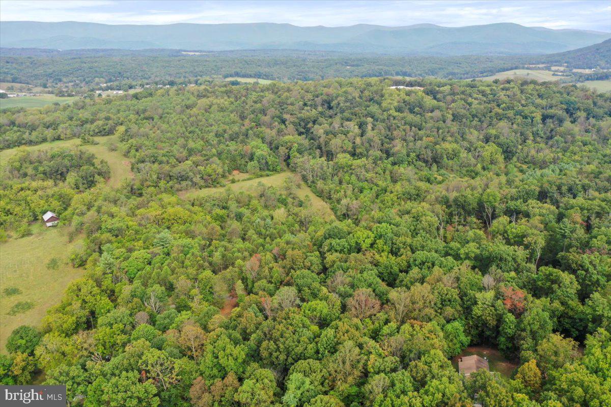 2726 Cave Ridge Road Mount Jackson, VA 22842 - Photo 36 of 39 a view of a field with an outdoor space