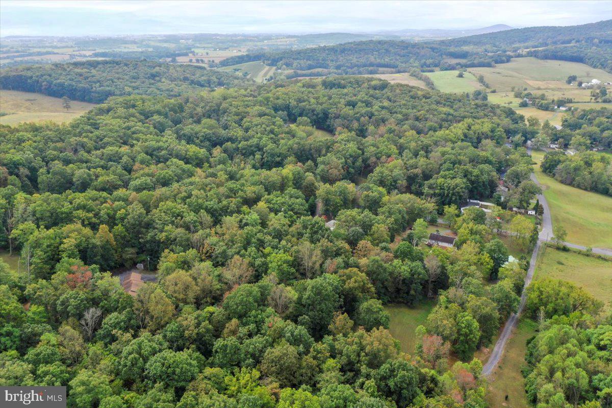 2726 Cave Ridge Road Mount Jackson, VA 22842 - Photo 37 of 39 an aerial view of a houses with a lush green hillside and houses