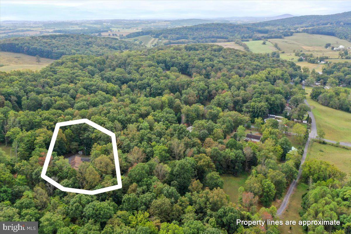 2726 Cave Ridge Road Mount Jackson, VA 22842 - Photo 38 of 39 an aerial view of a house with a yard and lake view
