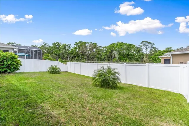 a view of a backyard