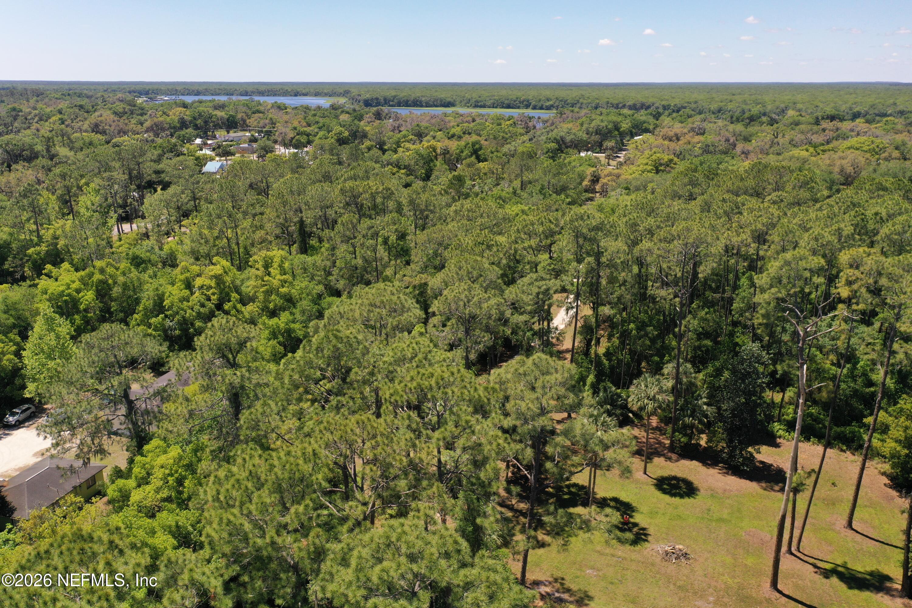 0 Walnut Street Welaka, FL 32193 - Photo 19 of 25 org_7f1f0c29c509745a_1744476458000