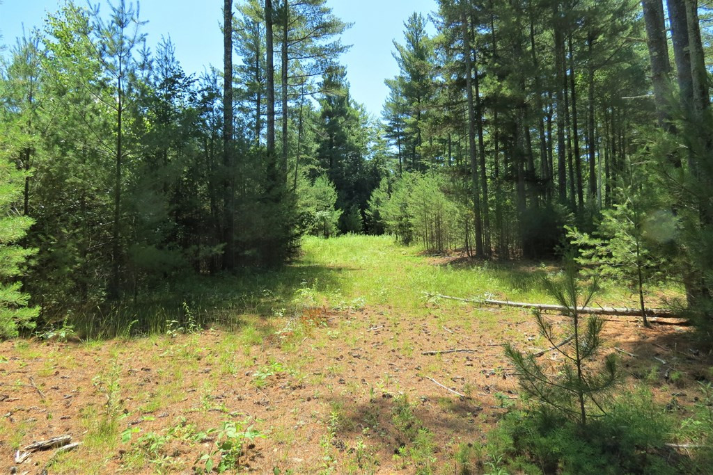 407 Upper Jay-Trumbulls Corners Road Jay, NY 12941 - Photo 15 of 25