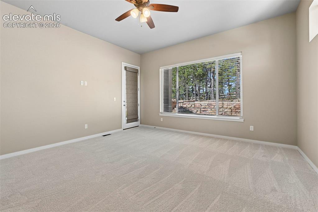 16232 Thunder Cat Way Monument, CO 80132 - Photo 33 of 49