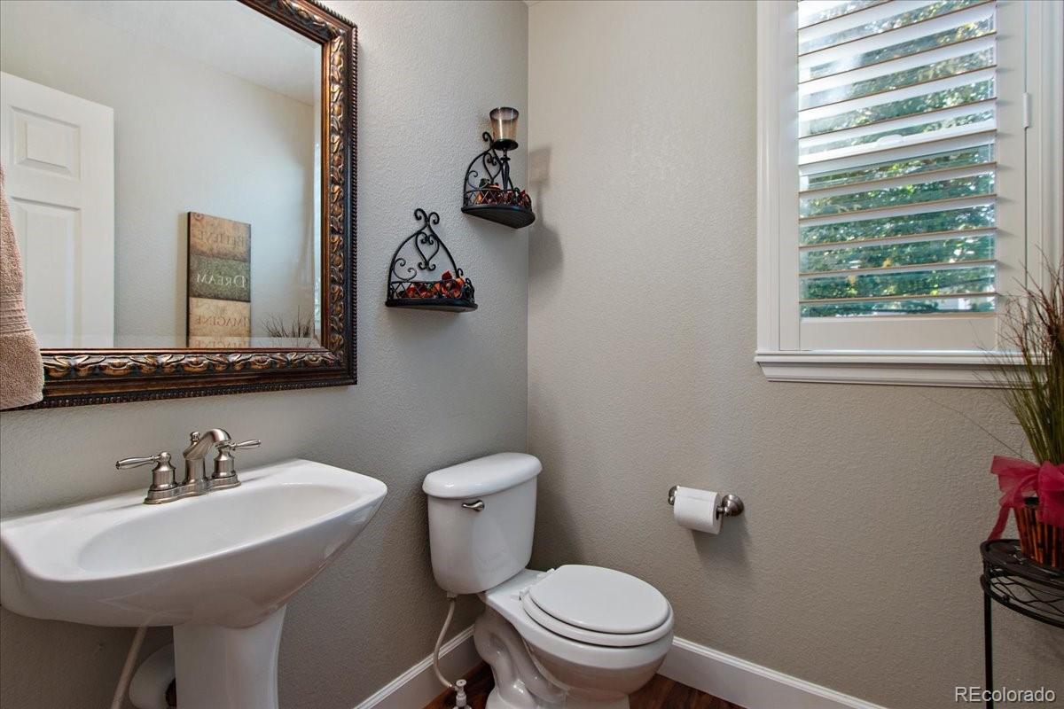 11017 Timber Ridge Lane Highlands Ranch, CO 80130 - Photo 22 of 37 Gallery Image 22