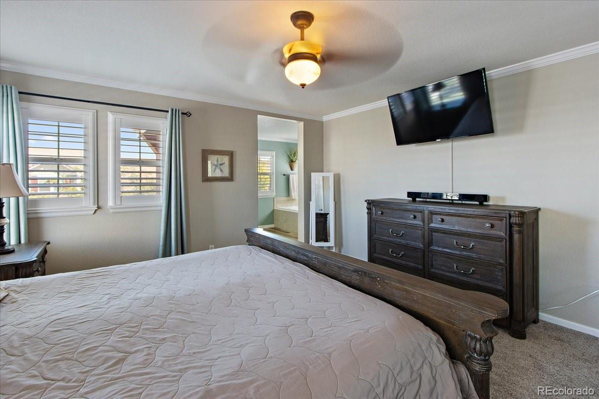 11017 Timber Ridge Lane Highlands Ranch, CO 80130 - Photo 26 of 37 Gallery Image 26