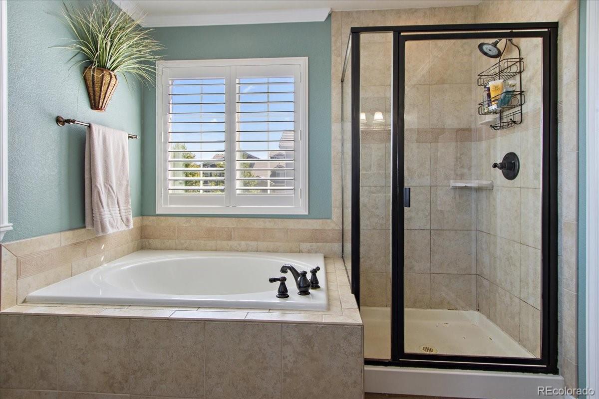 11017 Timber Ridge Lane Highlands Ranch, CO 80130 - Photo 28 of 37 Gallery Image 28