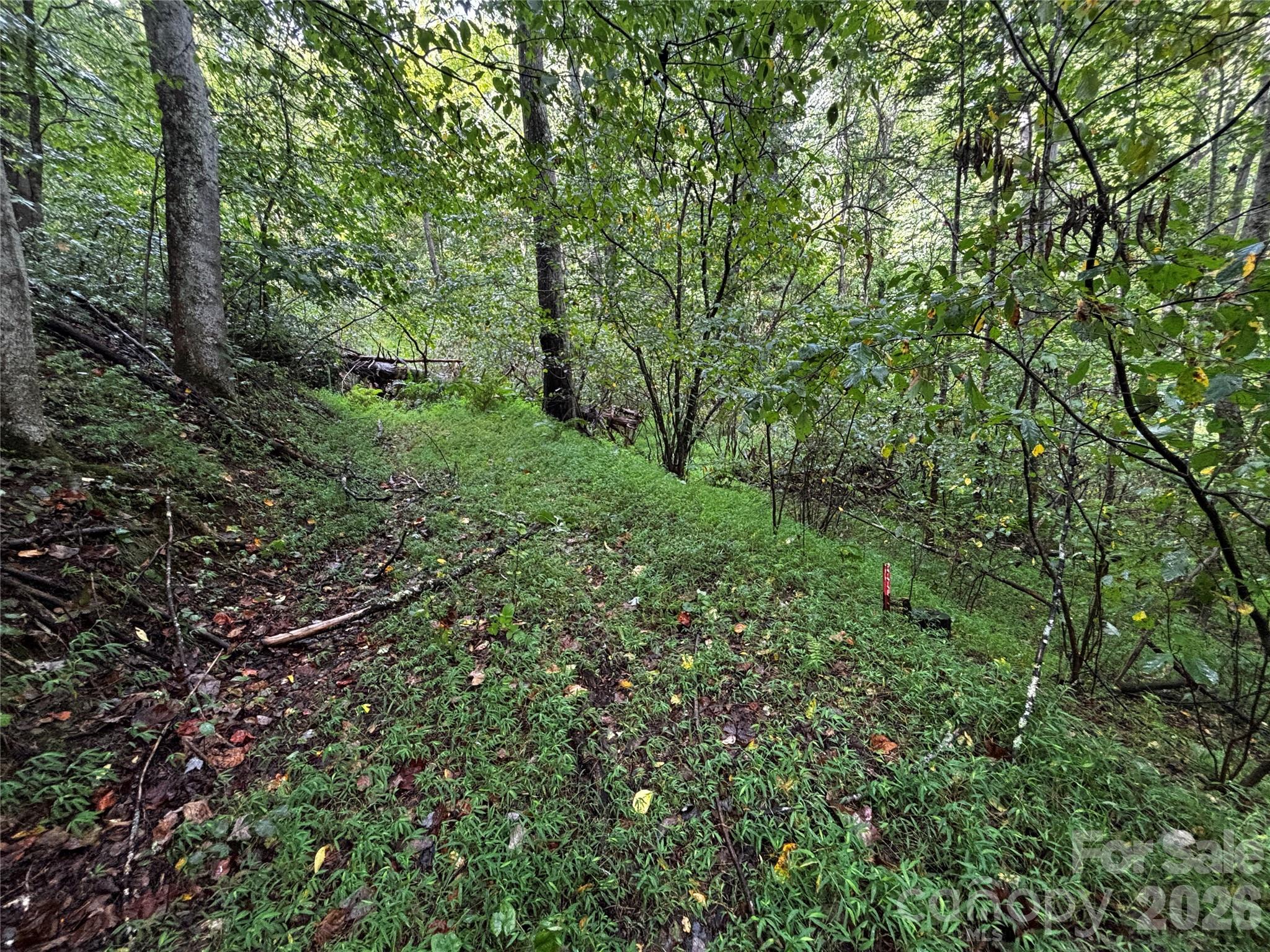 Tbd Big Pine Road Marshall, NC 28753 - Photo 1 of 19 Gallery Image 1