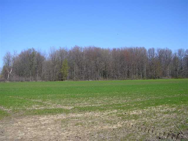 3810 Galbraith Line Road Croswell, MI 48422 - Photo 7 of 7 31050852-6.JPG