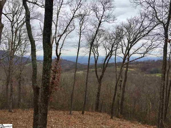 $199,000 | 215 Yellowroot Lane, Landrum, SC 29356