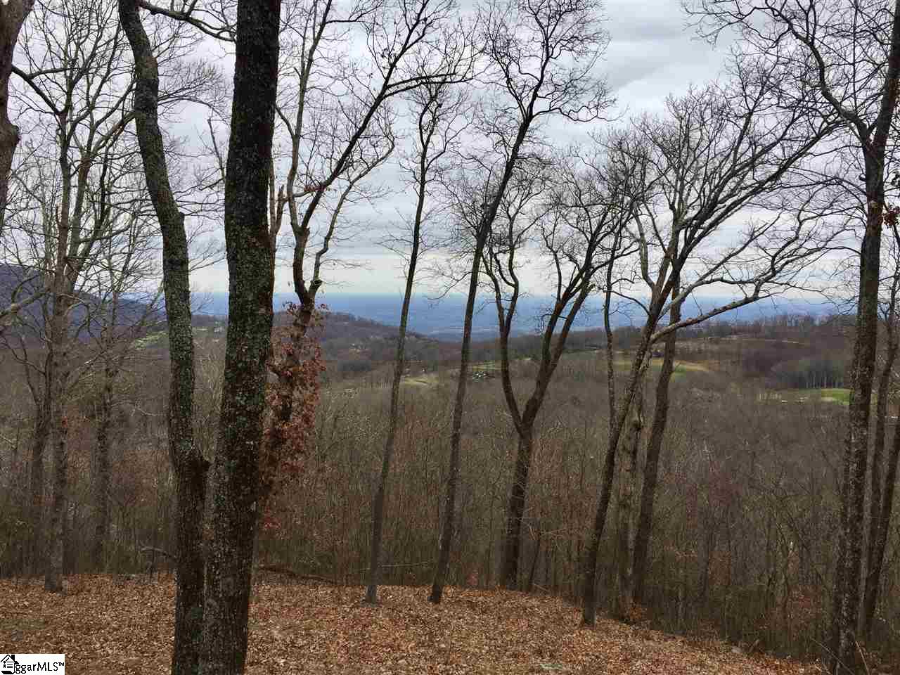 215 Yellowroot Lane Landrum, SC 29356 - Photo 1 of 4
